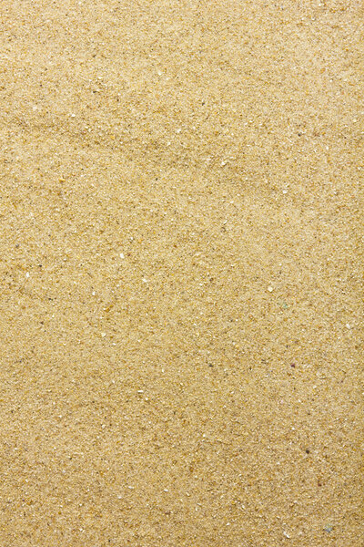 Песчаный пляж
