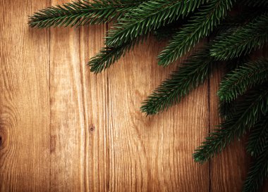 eski ahşap üzerinde Noel ağacının dalını