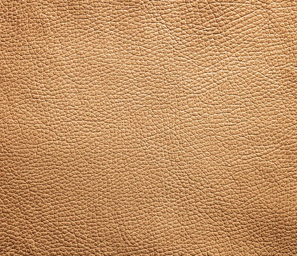 Leather texture background — Stock Photo, Image