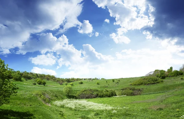 Groen veld en blauwe lucht — Stockfoto