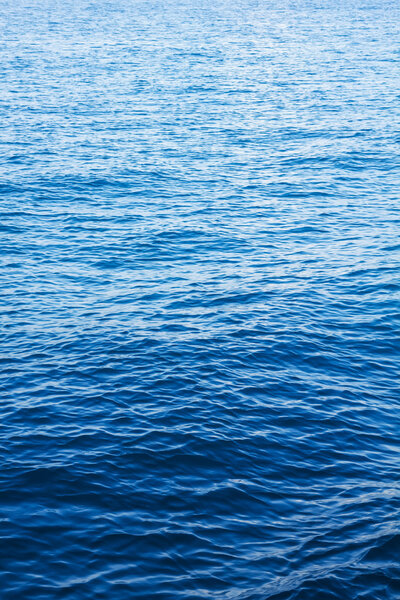 Blue sea surface with waves