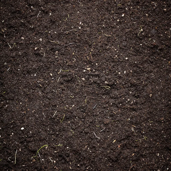 Soil texture — Stock Photo, Image