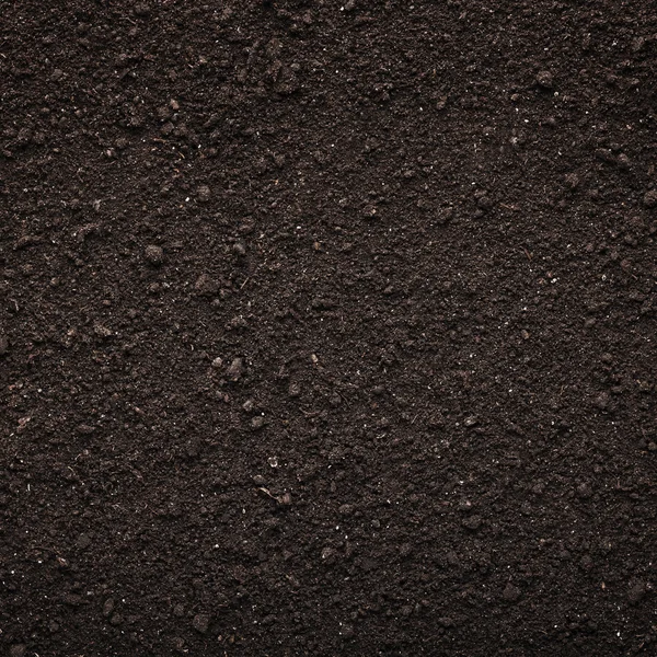 Soil texture background — Stock Photo, Image