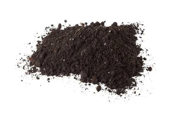 土壤腐殖质 — 图库照片
