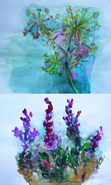 Watercolor paitings of flowers — Stock Photo, Image