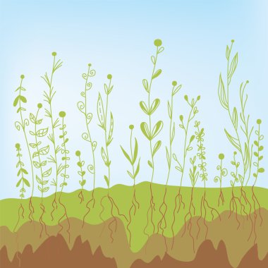 Grass growth with roots in the soil vector Grass growth with roots in the soil vector