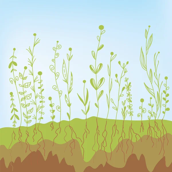 Grass growth with roots in the soil — Stock Vector