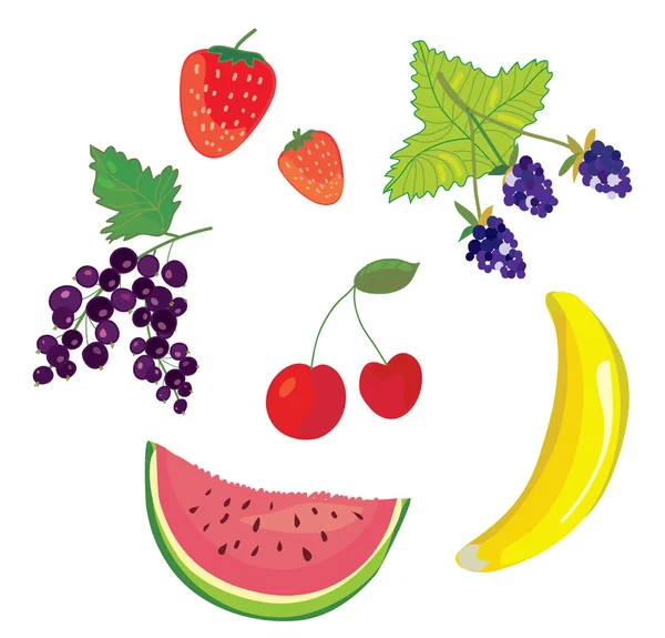 Fruits et petits fruits — Image vectorielle