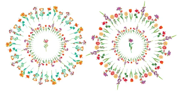 Conjunto de círculo floral — Archivo Imágenes Vectoriales