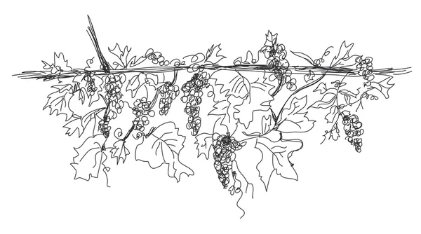 Виноградное знамя ручной работы — стоковый вектор