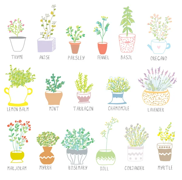 Herbes et épices dans des pots avec des fleurs — Image vectorielle