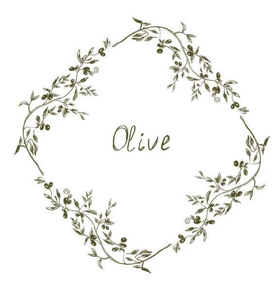 Olive cadre dessin à la main — Image vectorielle