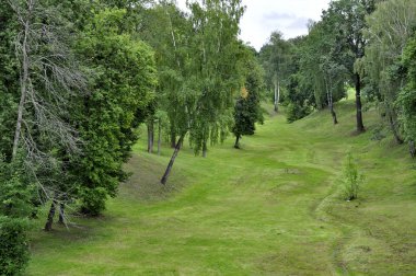 manzara uçurumu ve orman