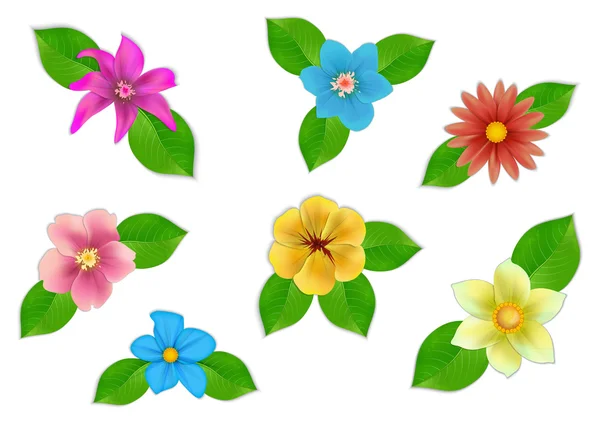 Big set of beautiful flowers on white background. — Stock Vector