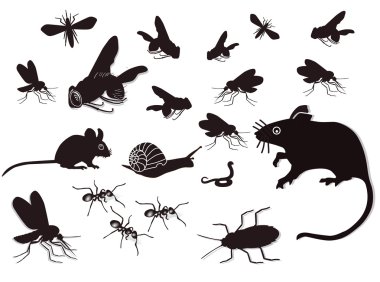 Pests and vermin clipart