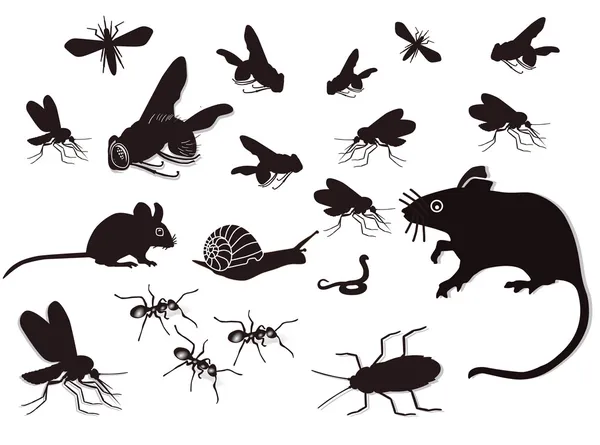 Pests and vermin — Stock Vector