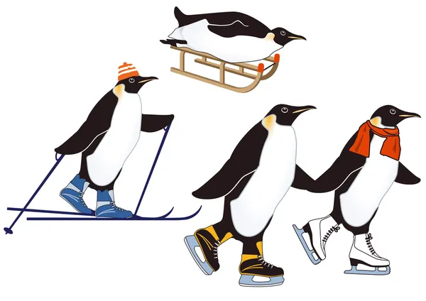 Pingouins dans les sports d'hiver — Image vectorielle