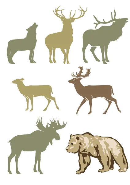 Animaux des forêts — Image vectorielle