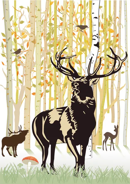 在秋天的森林中的鹿 — 图库矢量图片