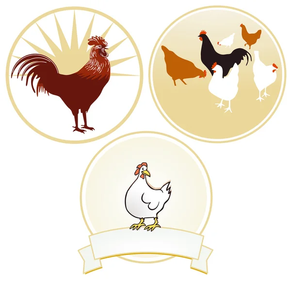 Huhn und Hahn — Stockvektor