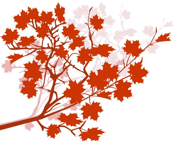 Red Maple Leaves — Stock Vector