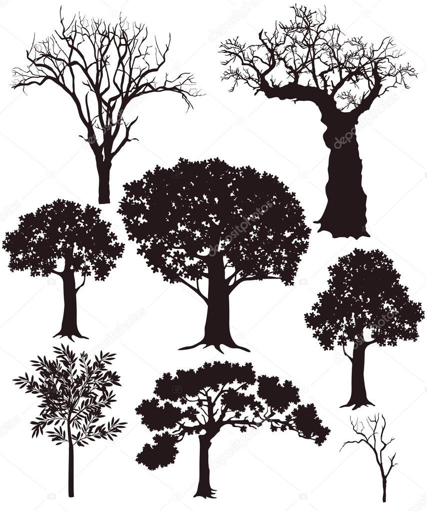 Tree silhouettes