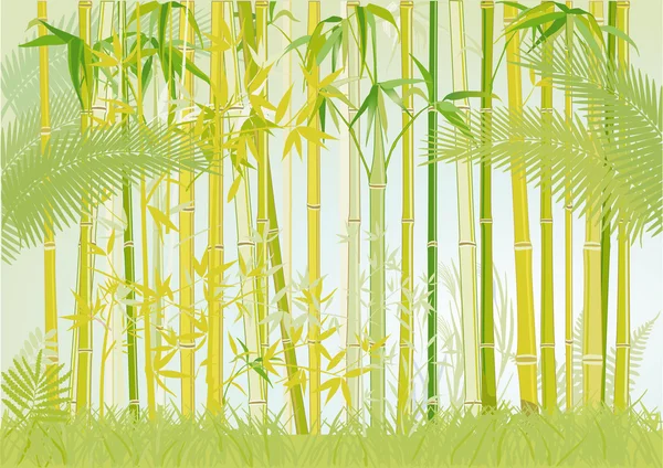 Bamboo jungle — Stock Vector