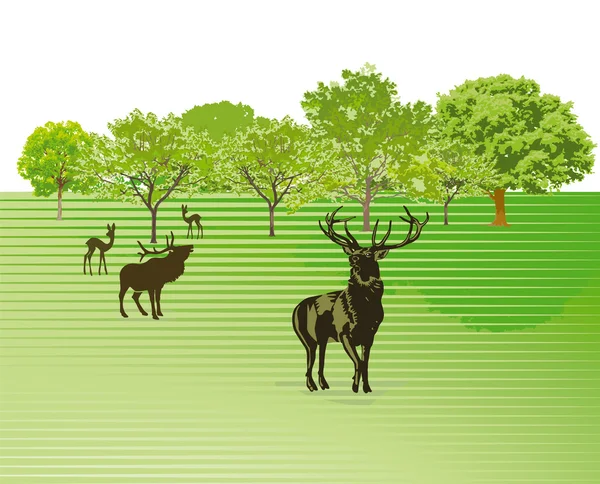 Deer on the green meadow — Stock Vector