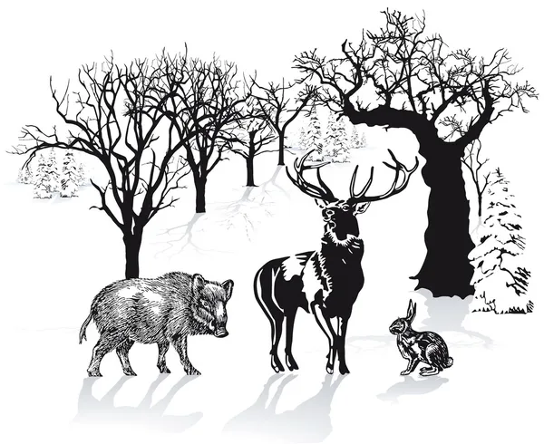 Deer, wild boar and rabbit in winter landscape — Stock Vector