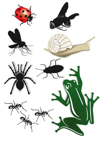 Hátborzongató crawlies — Stock Vector