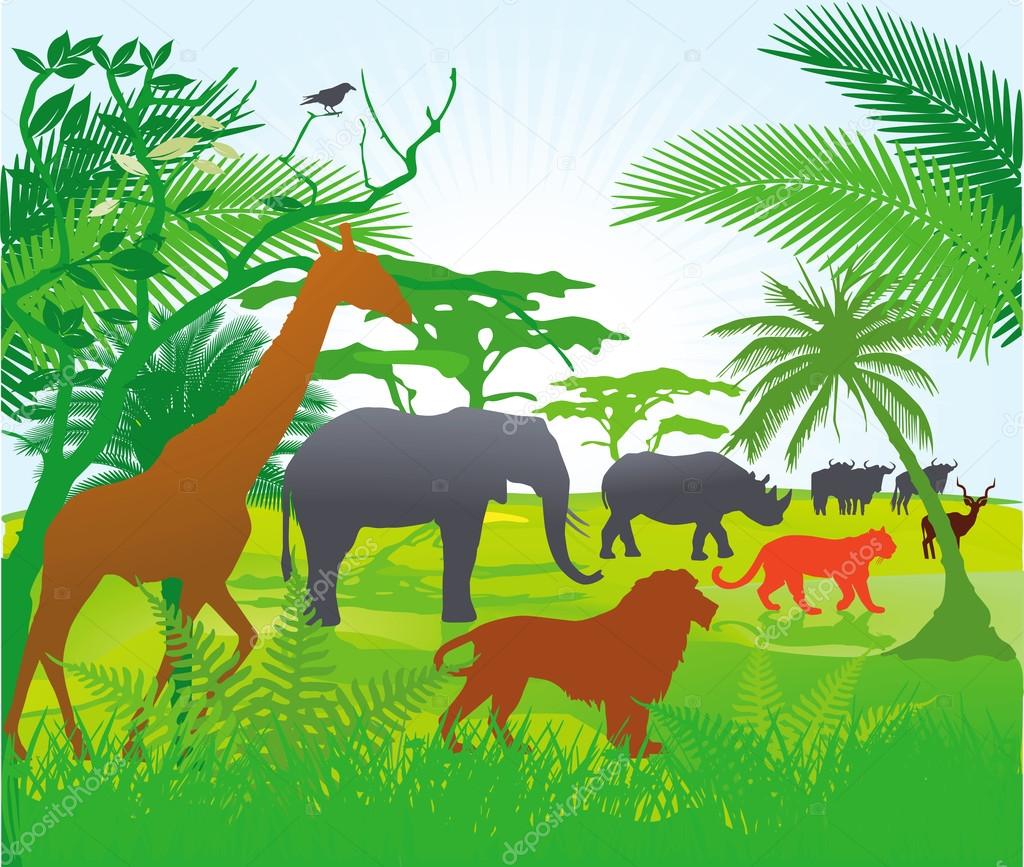 Jungle with animals