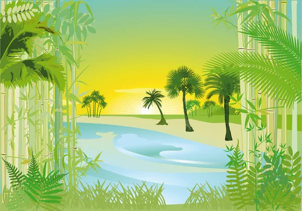 Tropical bay — Stock Vector