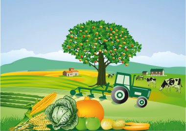Agriculture and harvest, thanksgiving