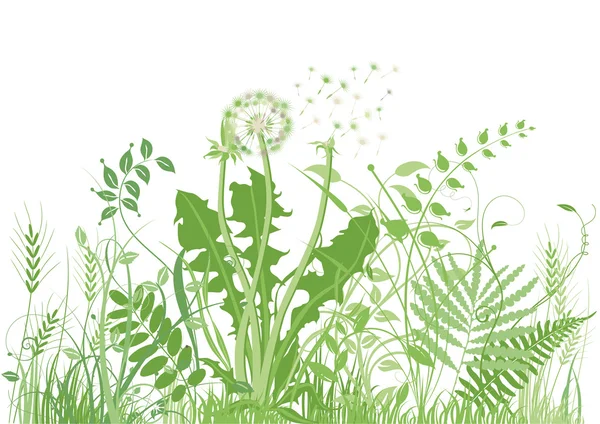 Green meadow — Stock Vector