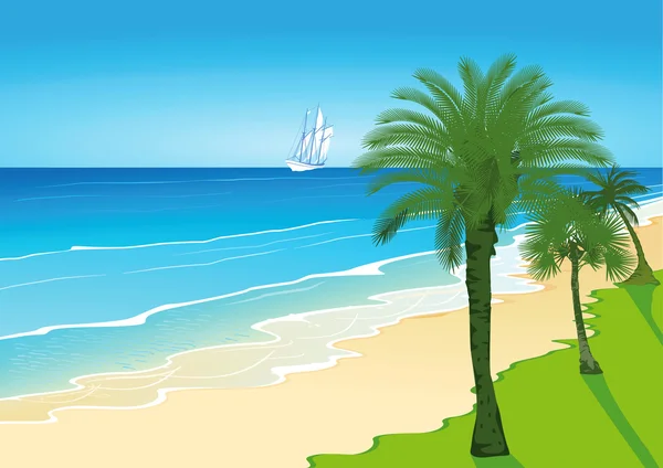 Praia com palmeiras e veleiro —  Vetores de Stock