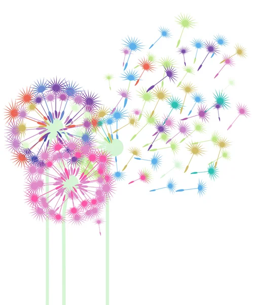 Colorful dandelions — Stock Vector