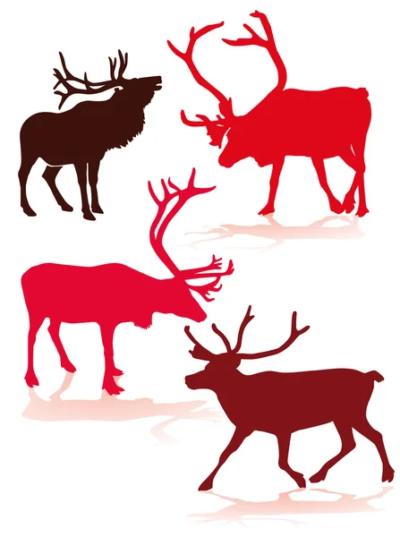 Reindeer — Stock Vector