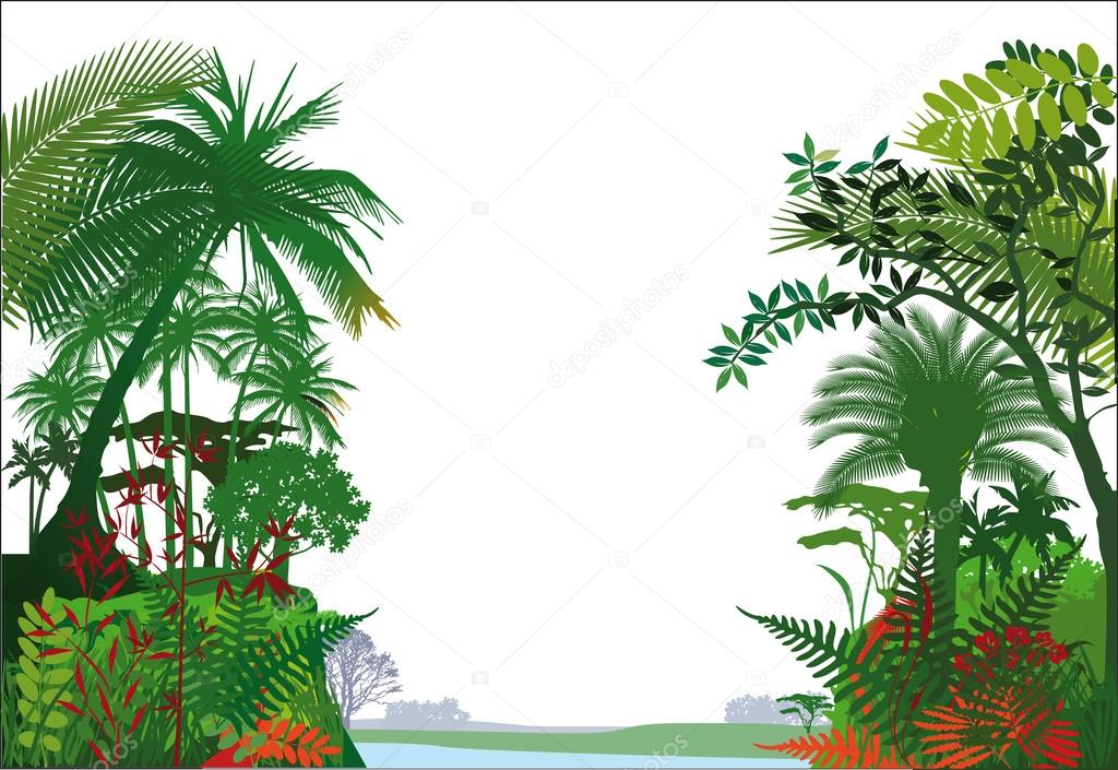 Tropical rainforest Jungle