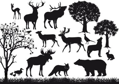 Forest and Wildlife clipart