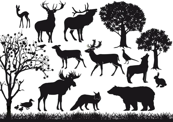 Skog och djurliv — Stock vektor