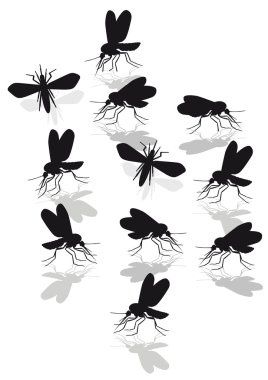 Mosquitoes plague clipart