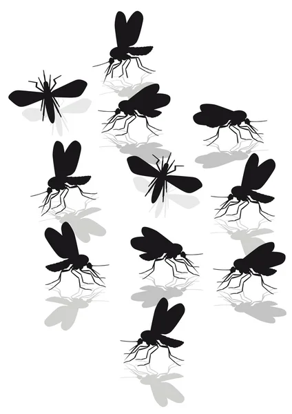 Mosquitoes plague — Stock Vector