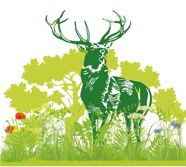 Deer Meadow Illustration — Stock Vector