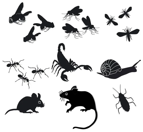 Insectos Pragas Isolados Sobre Branco Ilustração — Vetor de Stock