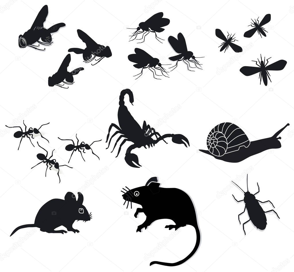 Bugs and pests, isolated on white, illustration