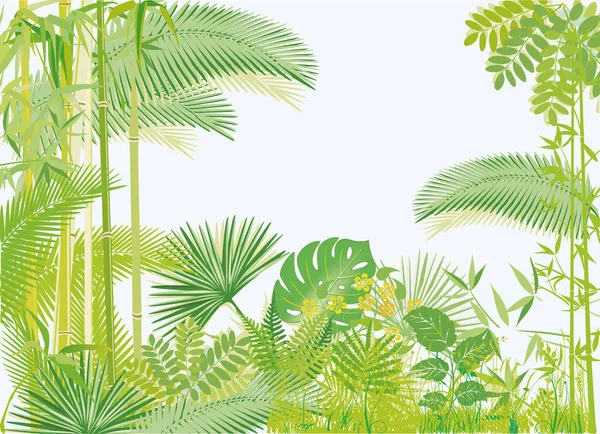 Foresta Pluviale Giungla Tropicale Illustrazione Vettore — Vettoriale Stock