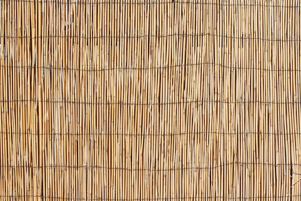 Textura de superfície de bambu — Fotografia de Stock