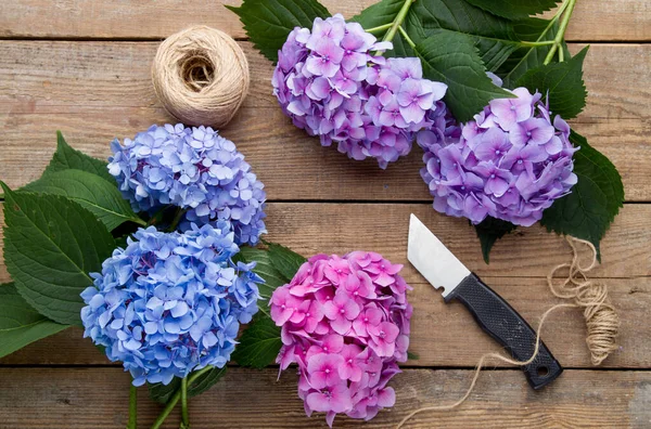 Květinářství Hortenzie Větve Nůž Starém Dřevěném Stole — Stock fotografie