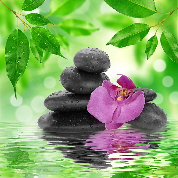 Nature Zen Images Libres De Droit Photos De Nature Zen Depositphotos