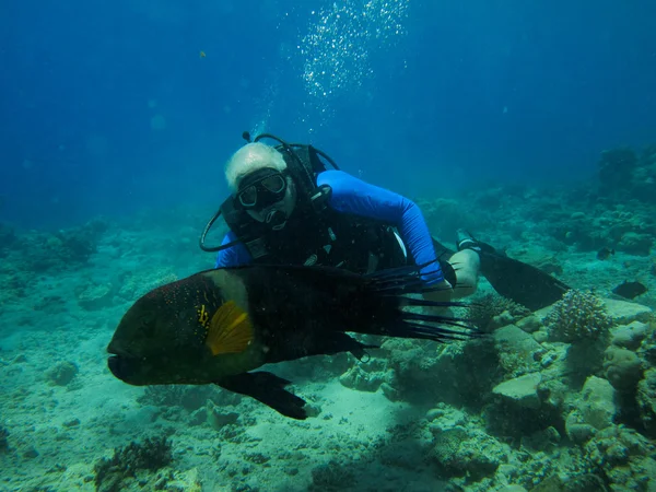 Mergulhador e peixe — Fotografia de Stock